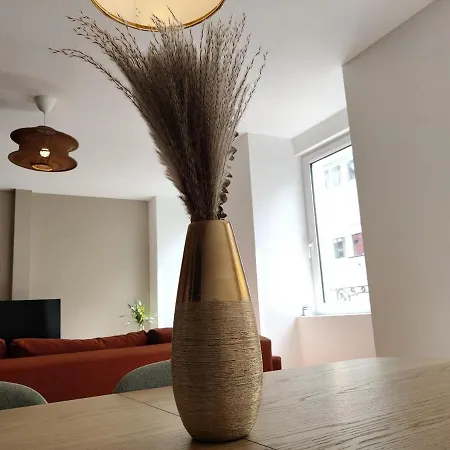 Appartement Chaleureux Appartement Centre Ville Restaurants Et Bars Mulhouse